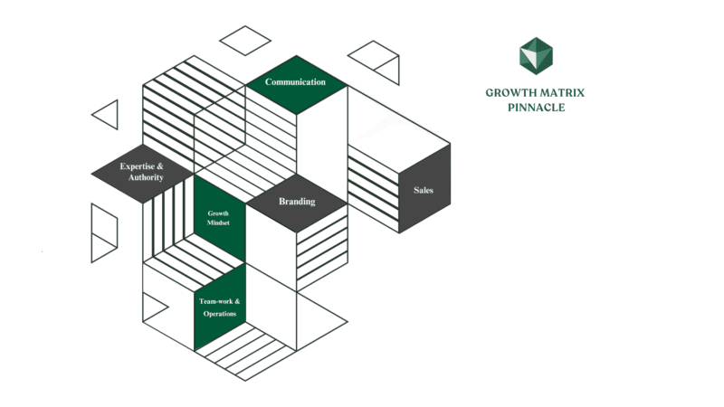 Growth Matrix Pinnacle – OAWA